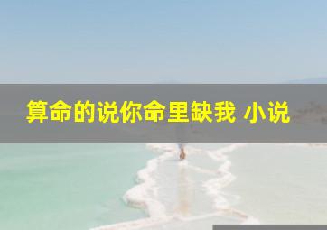 算命的说你命里缺我 小说